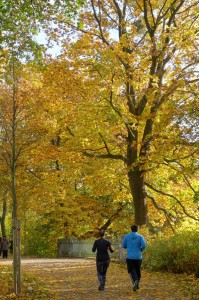 Göttingen en otoño