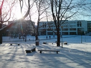 El Campus Central en invierno